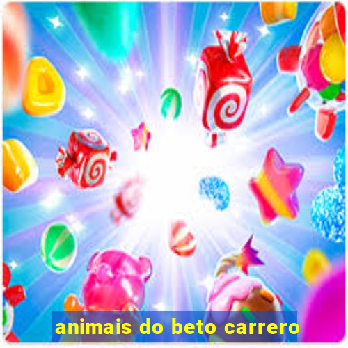 animais do beto carrero